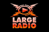Large radio